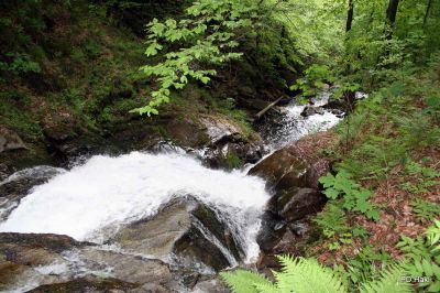 Slap Šum je slap potoka Bistrica.Visok je približno 14 m in do njega imamo na poti železne vrvi da ne pademo. Ko pridemo ga je prijetno poslušati in se sprostiti ob zvoku padajoče vode. 
