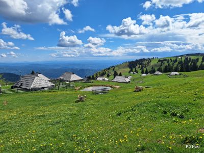 Drago-Lipic-MO-Velika-Planina-2026-022.jpg