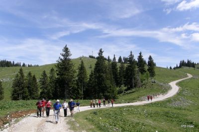 Fistravec_Menina_planina_2011-143.JPG