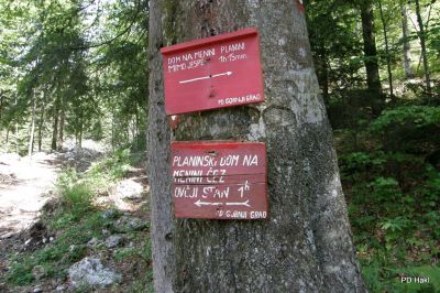 Fistravec_Menina_planina_2011-152.JPG