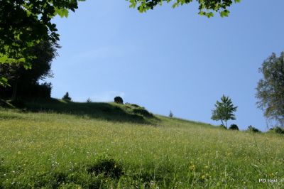 Fistravec_Menina_planina_2011-18.JPG