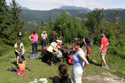 Fistravec_Menina_planina_2011-42.JPG