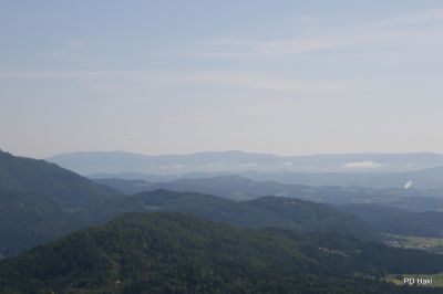 Fistravec_Menina_planina_2011-44.JPG