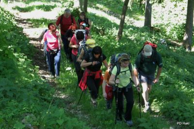 Fistravec_Menina_planina_2011-49.JPG