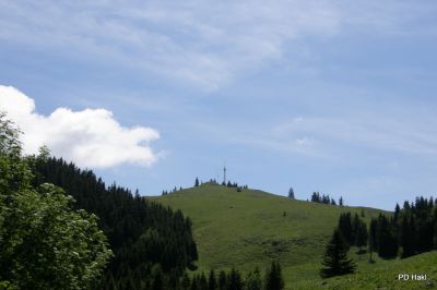 Fistravec_Menina_planina_2011-84.JPG