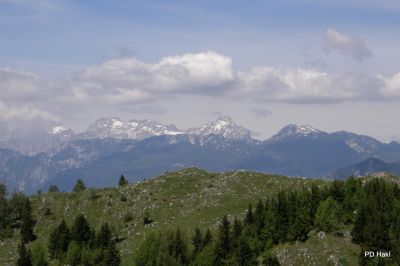 Fistravec_Menina_planina_2011-87.JPG