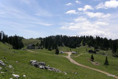 Fistravec_Menina_planina_2011-88.JPG