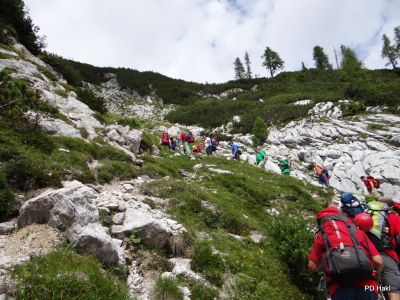 Fistravec_Triglav_2011_-35.JPG