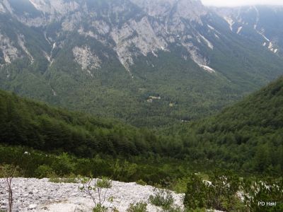 Fistravec_Triglav_2012-216.JPG