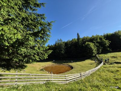 Marjan-Pauric-Menina-planina-2025-018.jpg