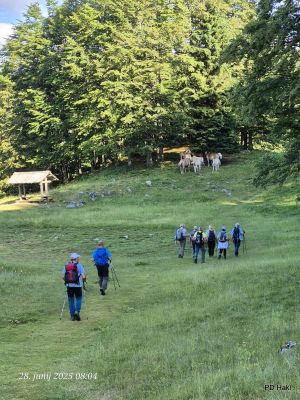 Marjan-Pauric-Menina-planina-2025-019.jpg