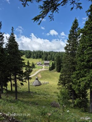 Marjan-Pauric-Menina-planina-2025-062.jpg