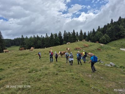 Marjan-Pauric-Menina-planina-2025-075.jpg