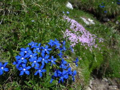 Marjan_Fistravec_Dolomiti_2014-019.JPG