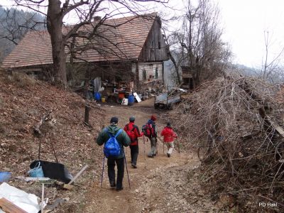 Fistravec_Marjan_Kobansko_2013__284329.JPG