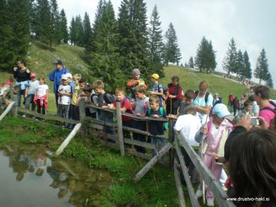 Velika_planina_035-1.jpg